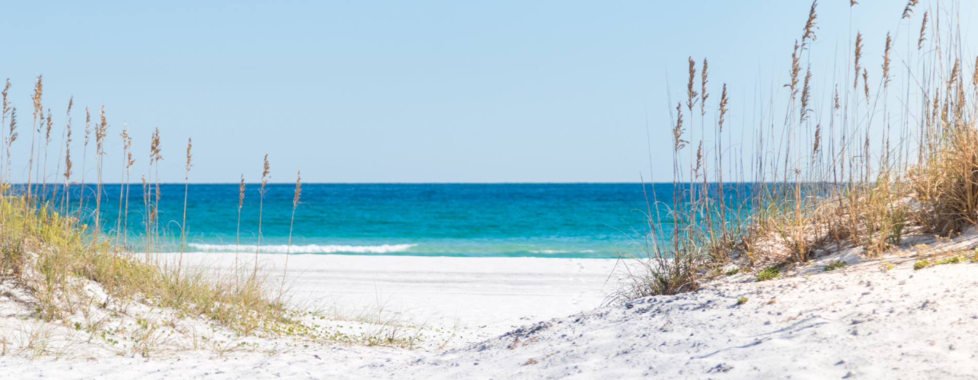 Ocracoke Vacation Rentals Blue Heron Vacations